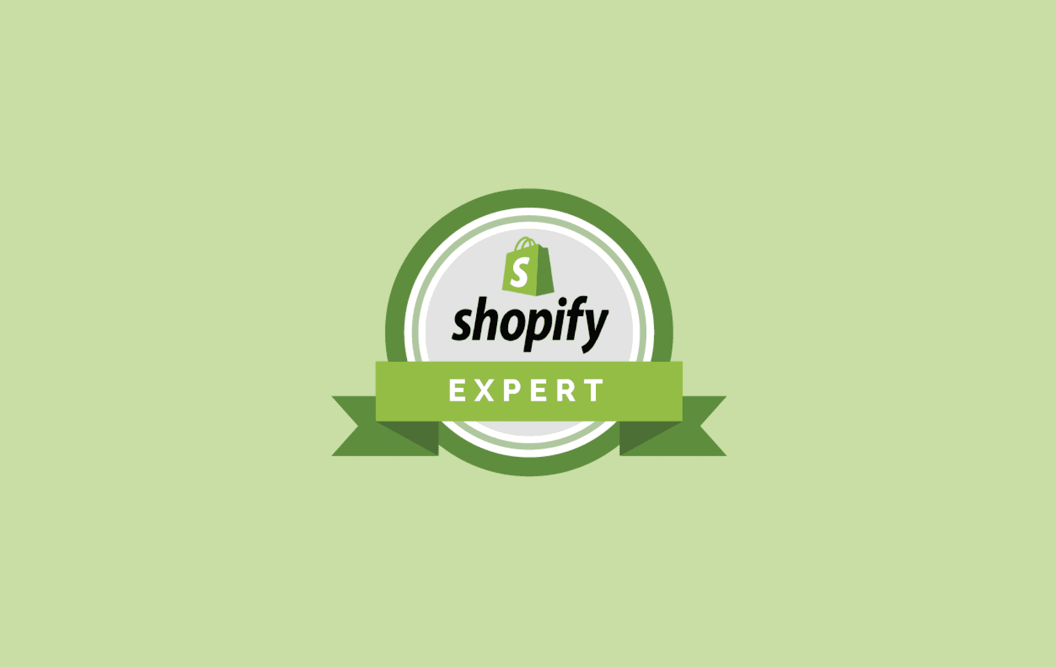 Shopify Partner